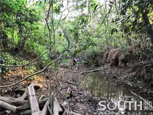 ̫������tyc4633